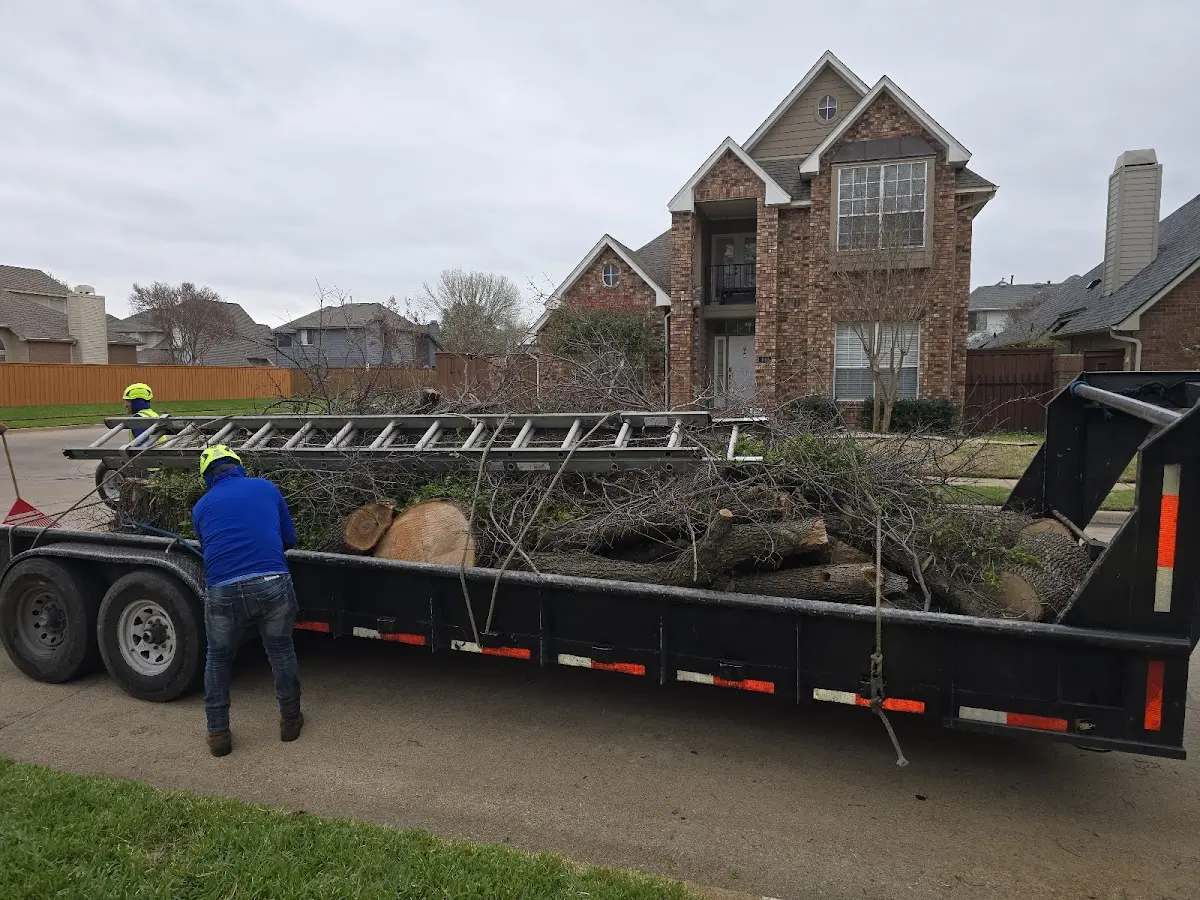 Expert Tree Fertilization with proper safety equipment in Arrowsmith